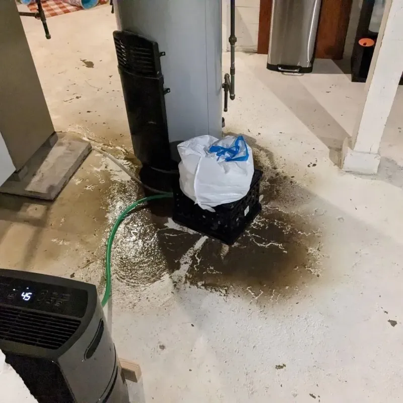 Sewage Backup Cleanup Service in Aiea, HI